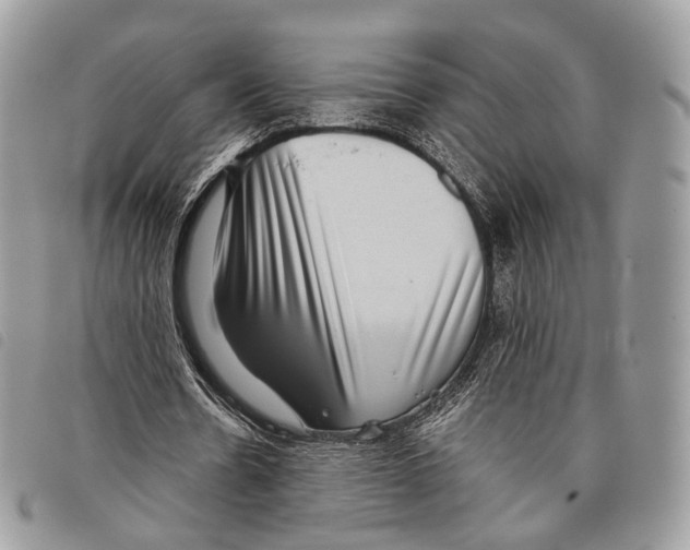 X0000097820530200804111017