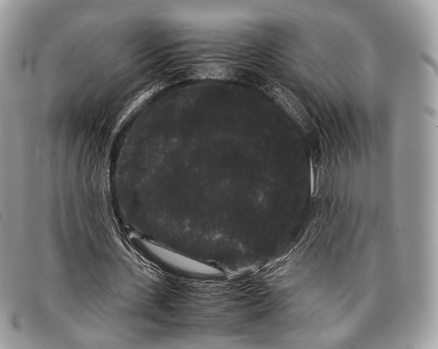 X0000097820531200804111017