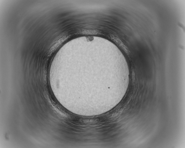 X0000097820533200804111017