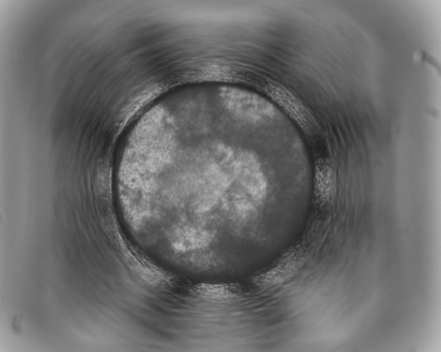 X0000097820534200804111017