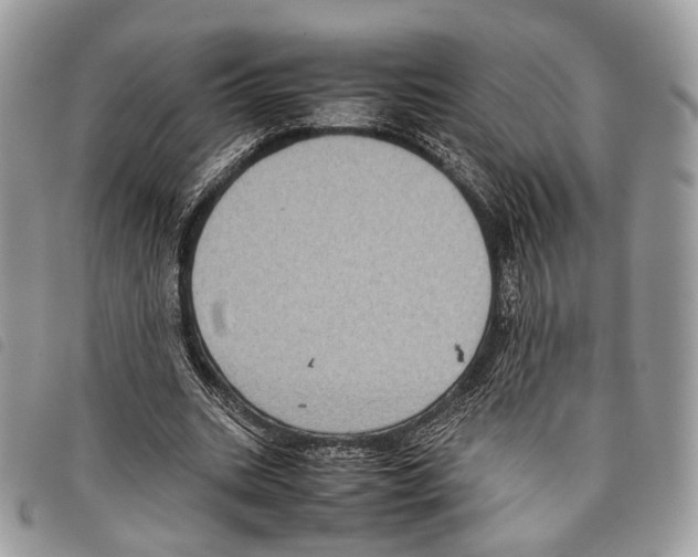 X0000097820535200804111017