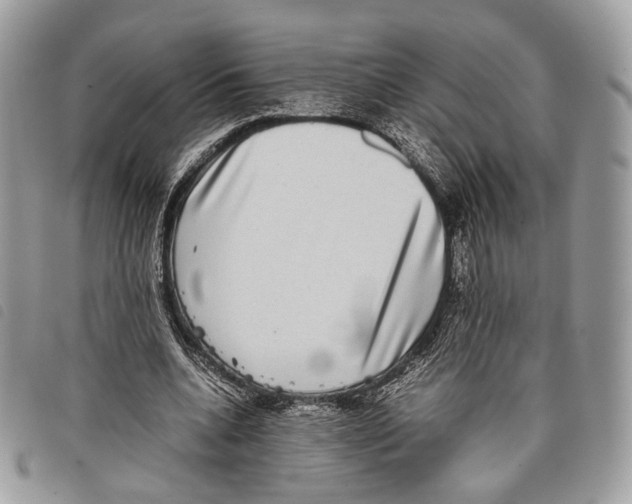 X0000097820536200804111017