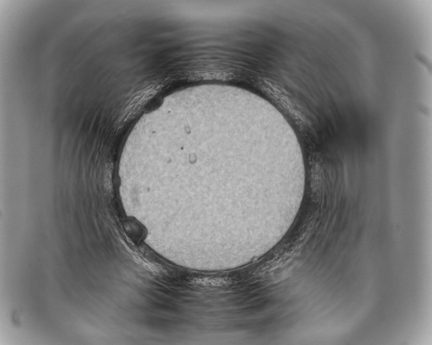 X0000097820537200804111017