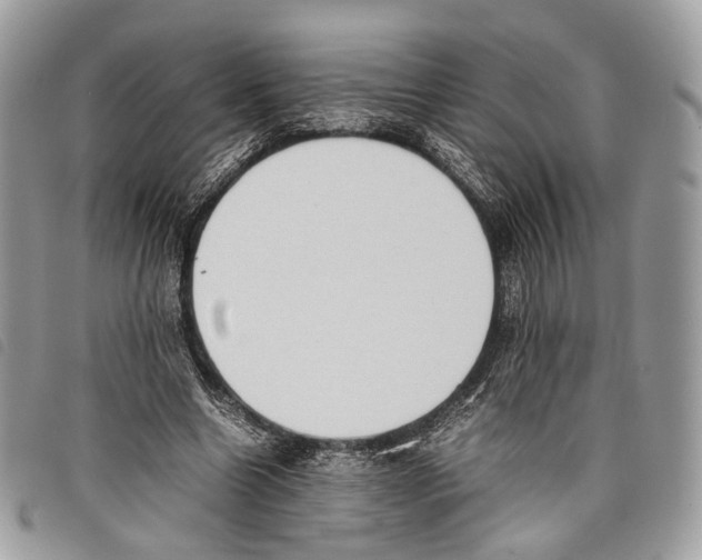 X0000097820538200804111017