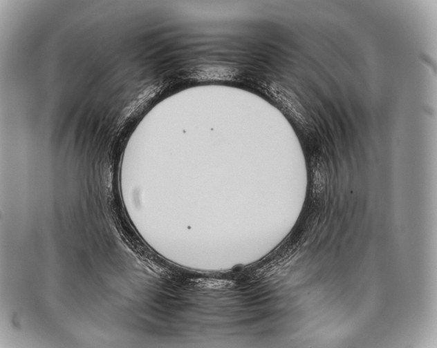 X0000097820539200804111017