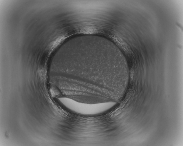 X0000097820540200804111017