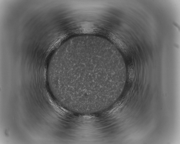 X0000097820542200804111017