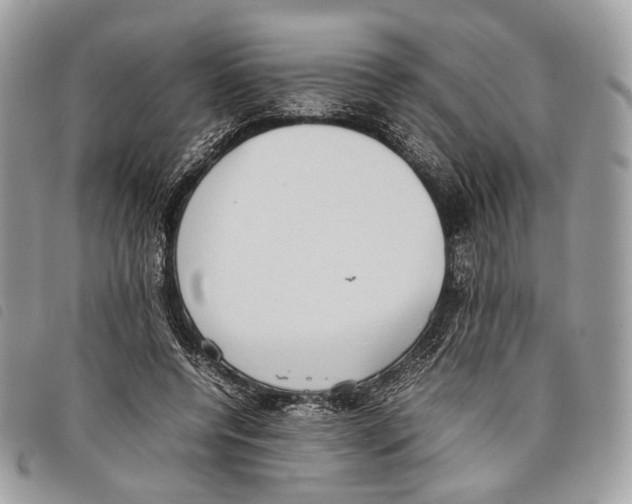 X0000097820544200804111018