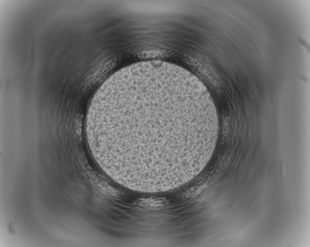 X0000097820545200804111018