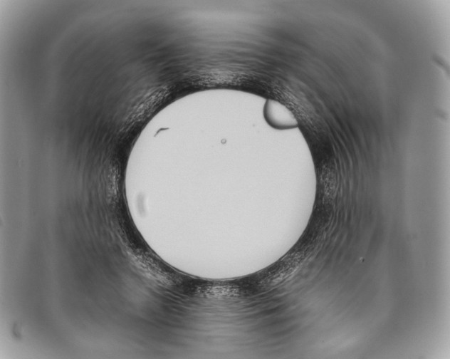 X0000097820546200804111018