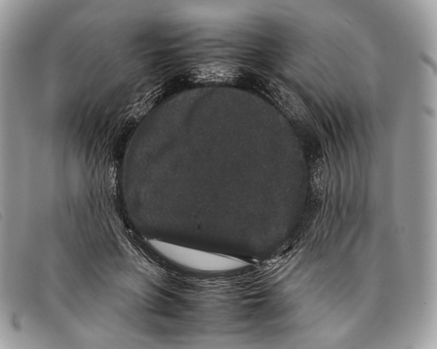 X0000097820551200804111018