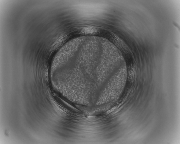 X0000097820552200804111018