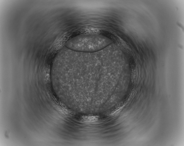 X0000097820553200804111018