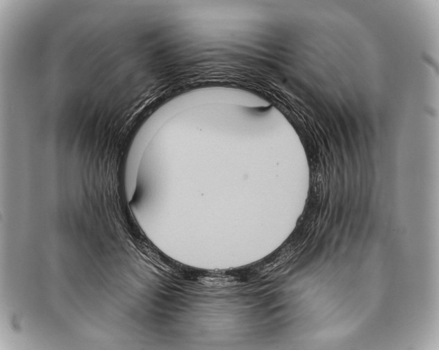 X0000097820556200804111018