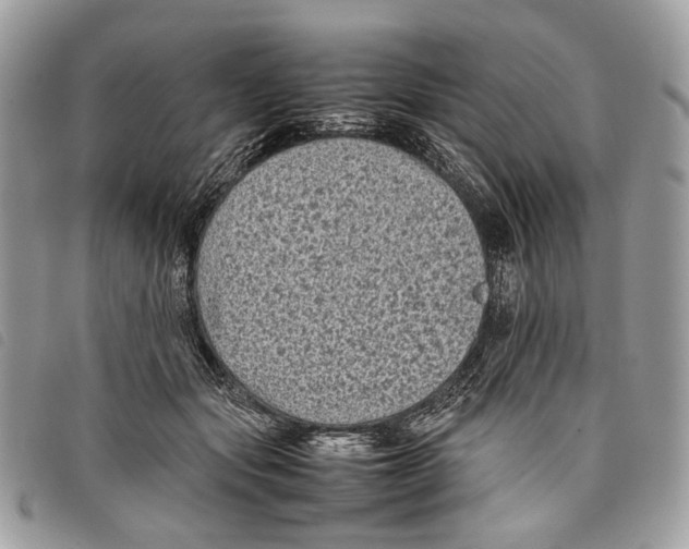 X0000097820557200804111018