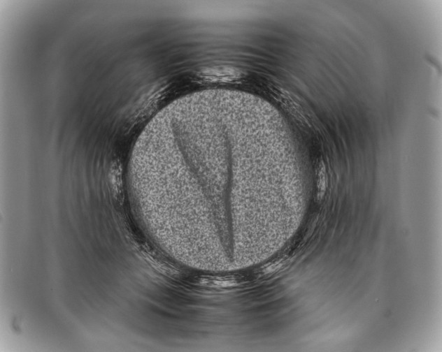 X0000097820559200804111018