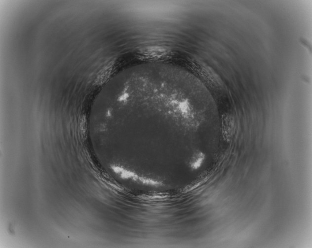 X0000097820563200804111018