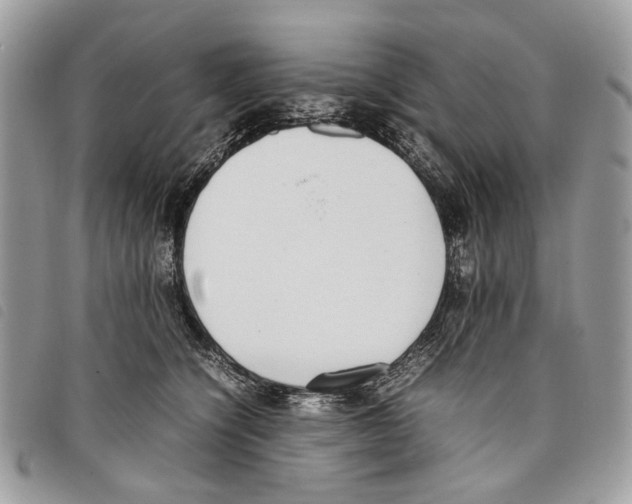 X0000097820564200804111018