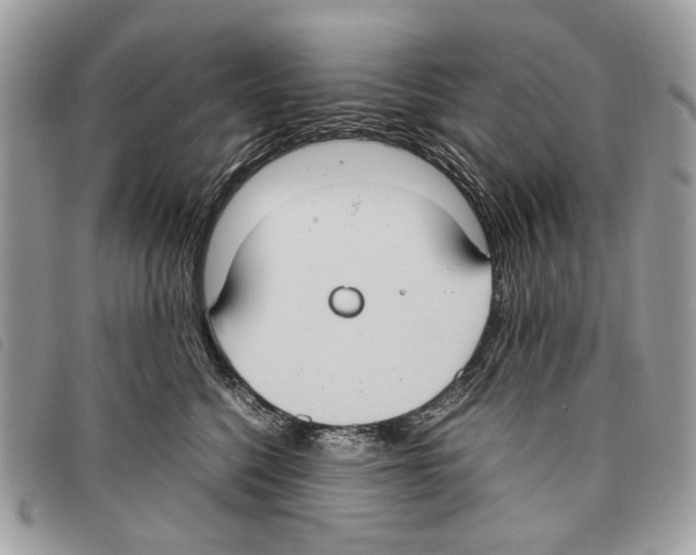 X0000097820568200804111018