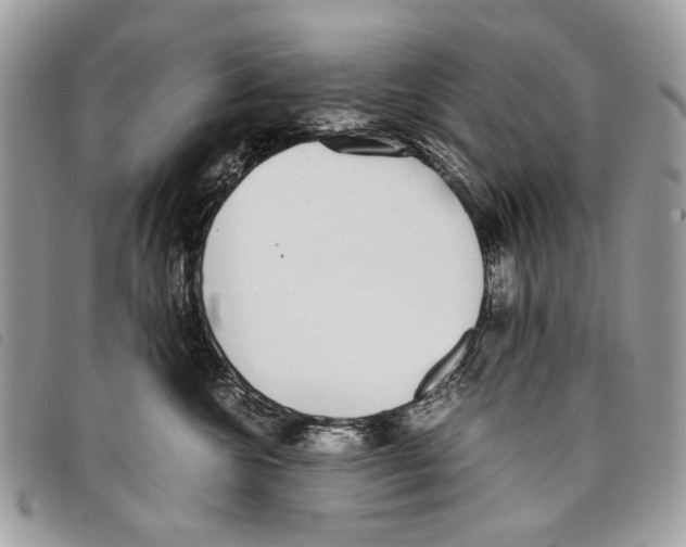 X0000097820572200804111018