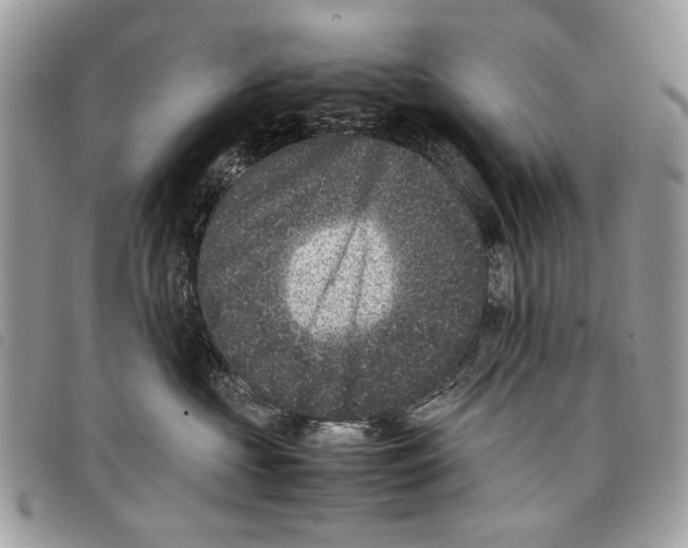 X0000097820573200804111018