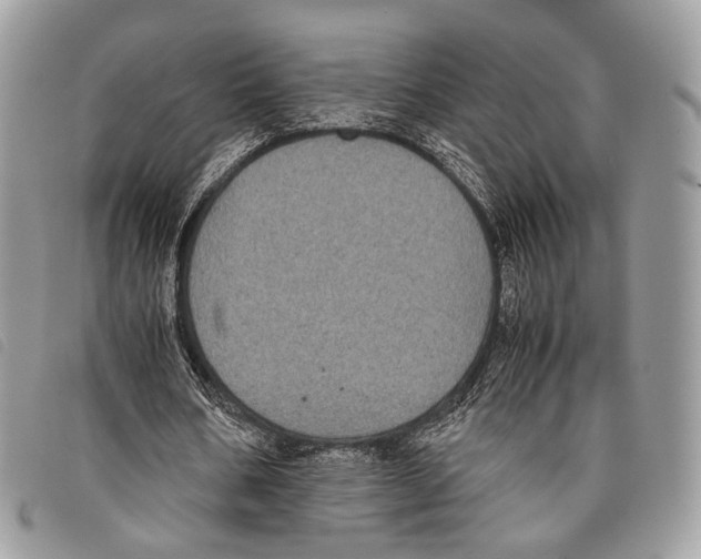 X0000097820578200804111017