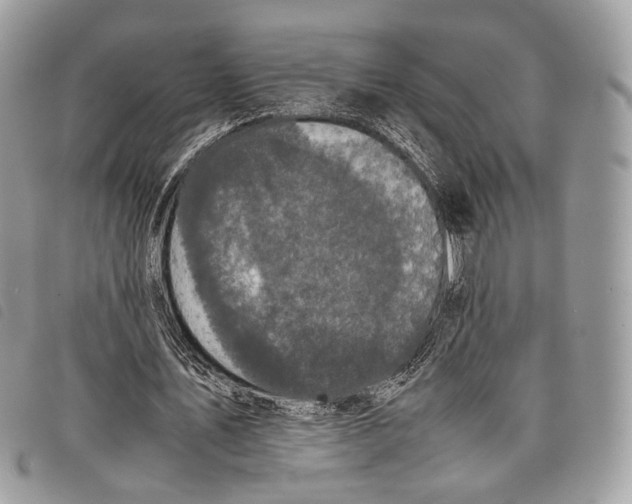 X0000097820579200804111017