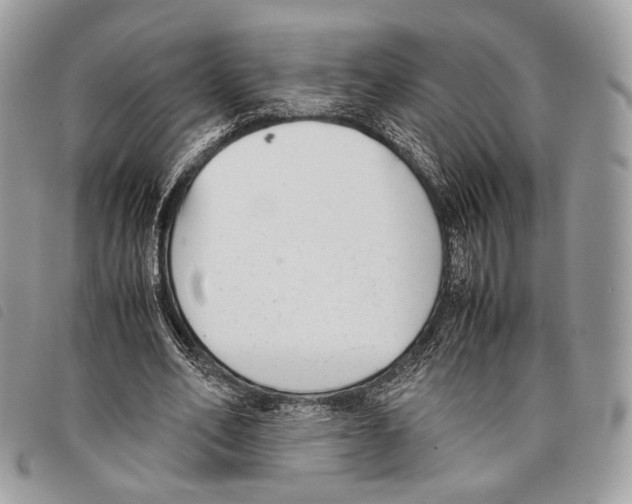 X0000097820582200804111017