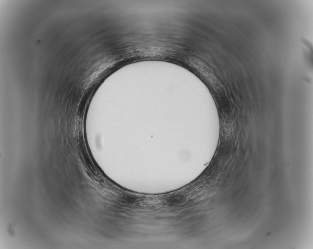 X0000097820583200804111017