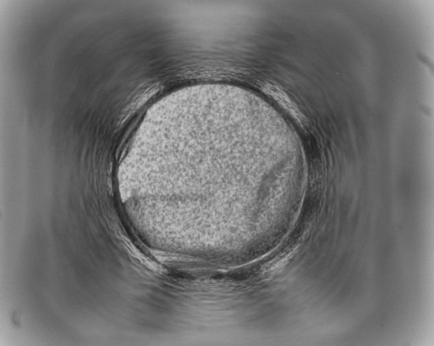 X0000097820585200804111017