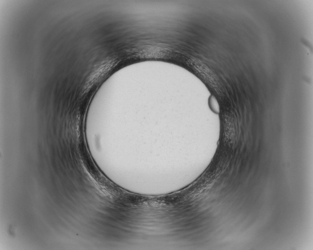 X0000097820586200804111017