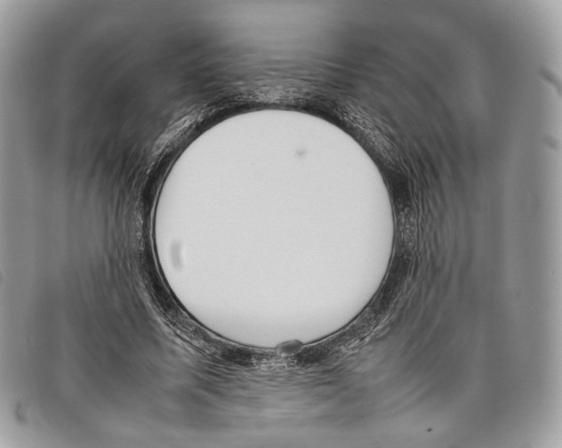 X0000097820587200804111017