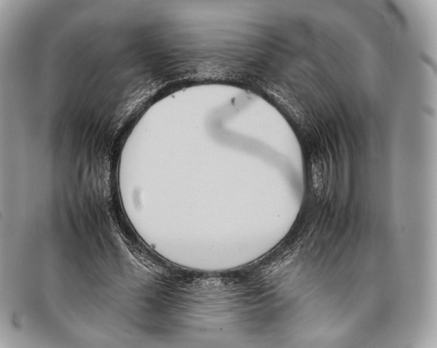 X0000097820588200804111017