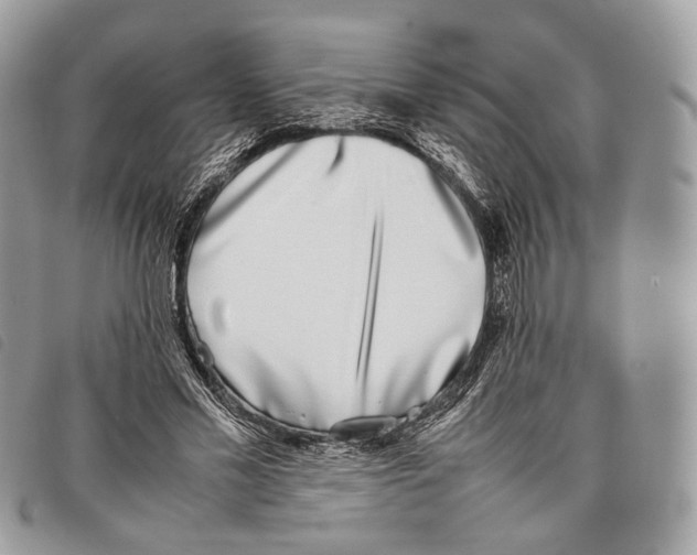 X0000097820589200804111017