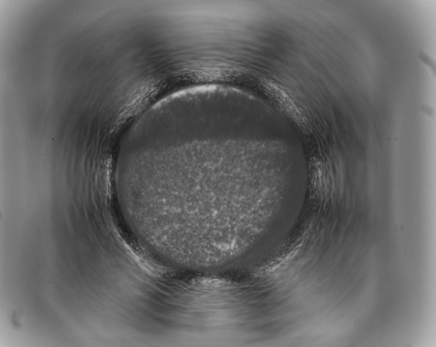 X0000097820590200804111017