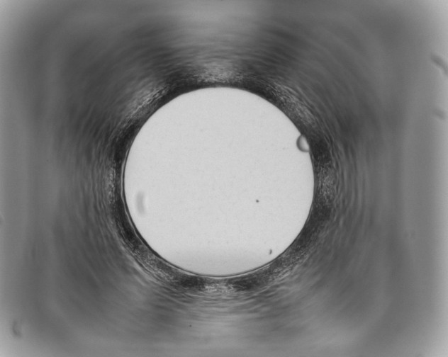 X0000097820591200804111017