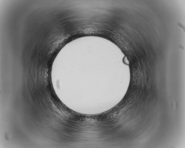 X0000097820592200804111017