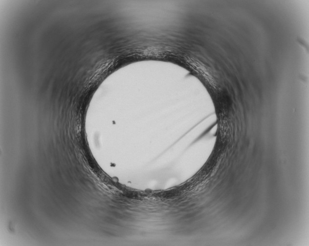 X0000097820593200804111017