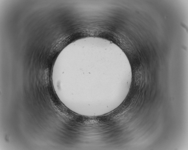 X0000097820594200804111017