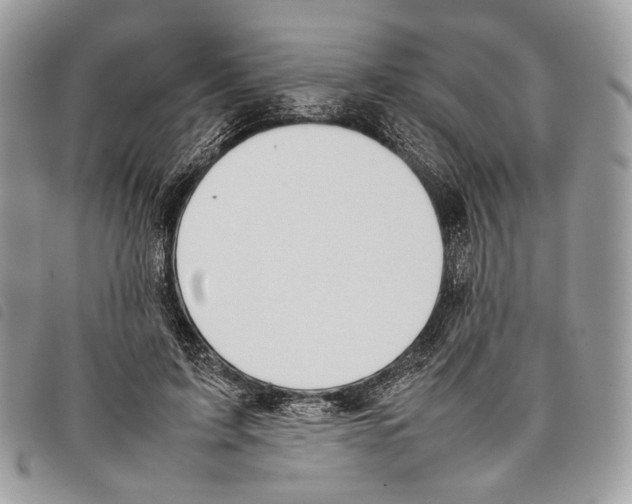 X0000097820595200804111017