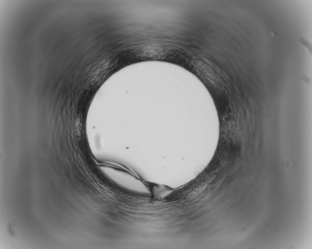 X0000097820597200804111017