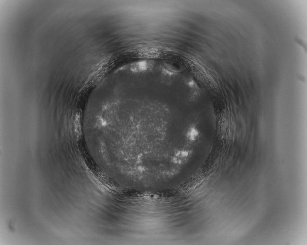 X0000097820598200804111017