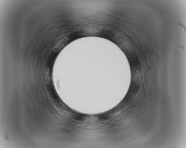 X0000097820599200804111017