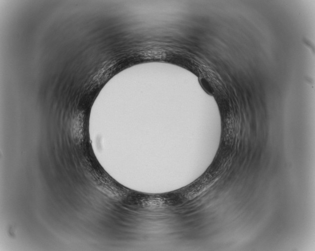 X0000097820600200804111017