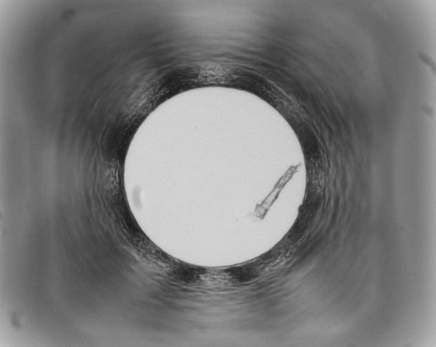 X0000097820603200804111017