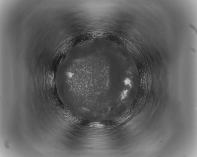 X0000097820610200804111017