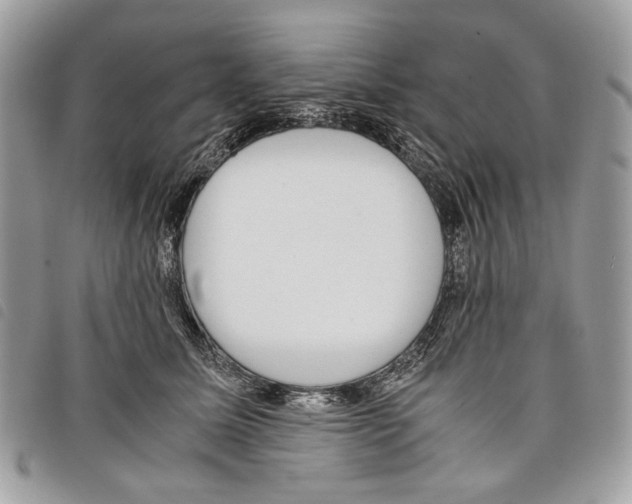 X0000097820611200804111017