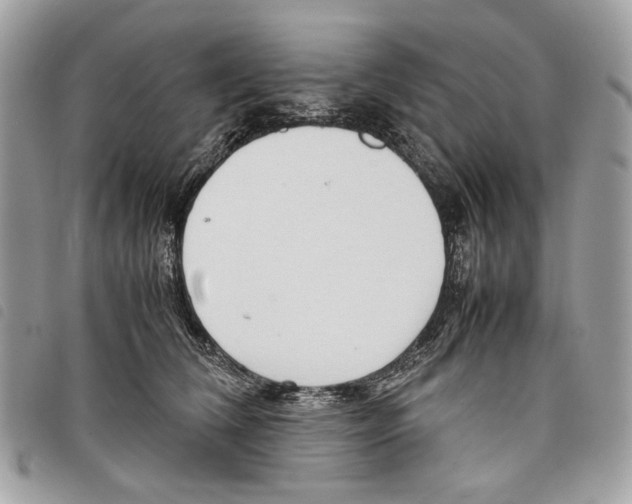 X0000097820612200804111017