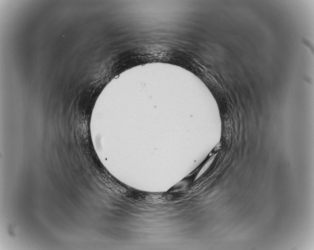 X0000097820613200804111017