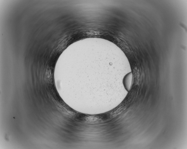 X0000097820614200804111017